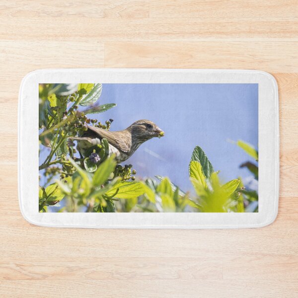 Item preview, House Finch designed and sold by LaurenTucker.
