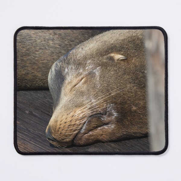 Item preview, California Sea Lion designed and sold by LaurenTucker.
