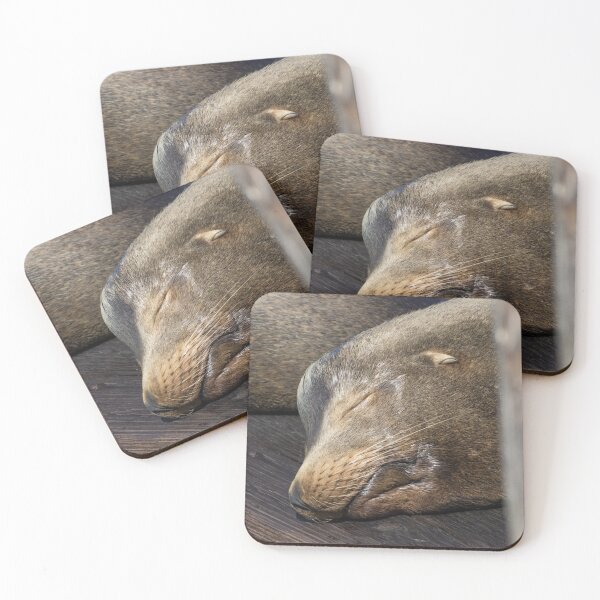 Item preview, California Sea Lion designed and sold by LaurenTucker.