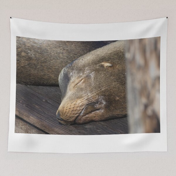 Item preview, California Sea Lion designed and sold by LaurenTucker.