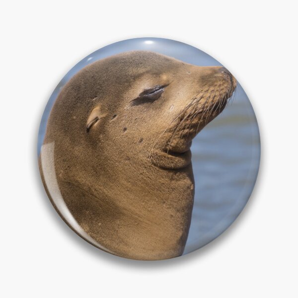 Item preview, California Sea Lion designed and sold by LaurenTucker.