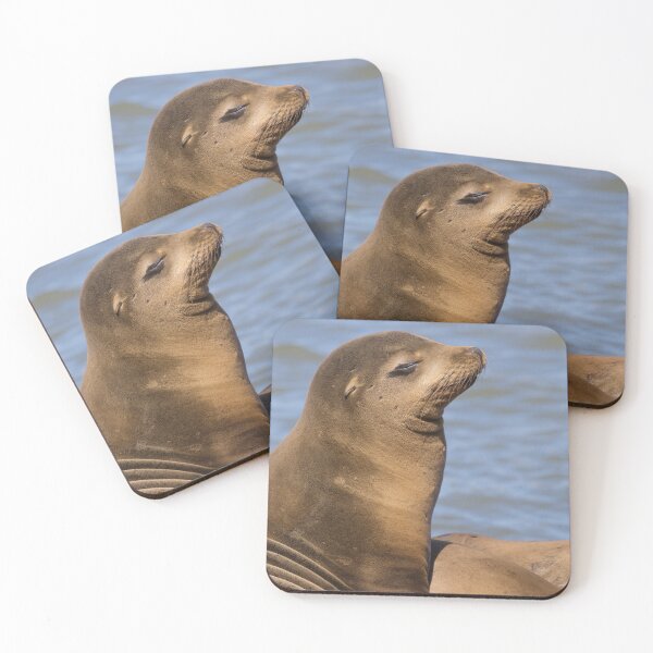 Item preview, California Sea Lion designed and sold by LaurenTucker.