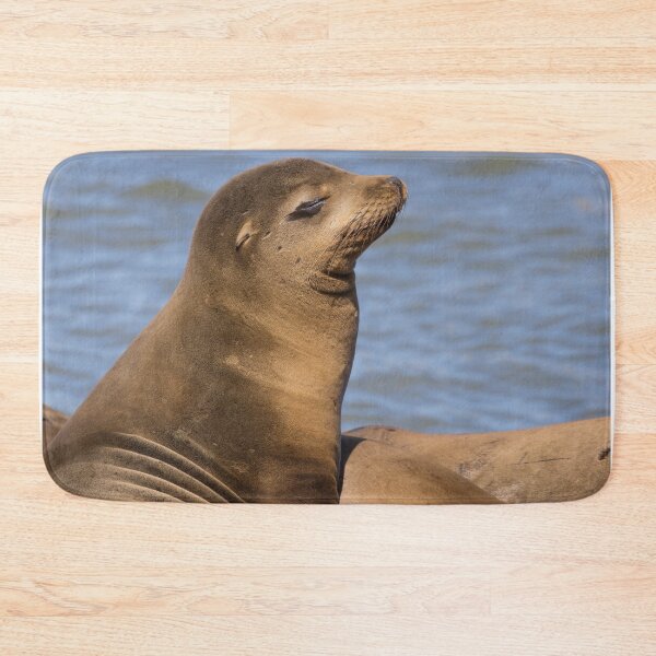 Item preview, California Sea Lion designed and sold by LaurenTucker.