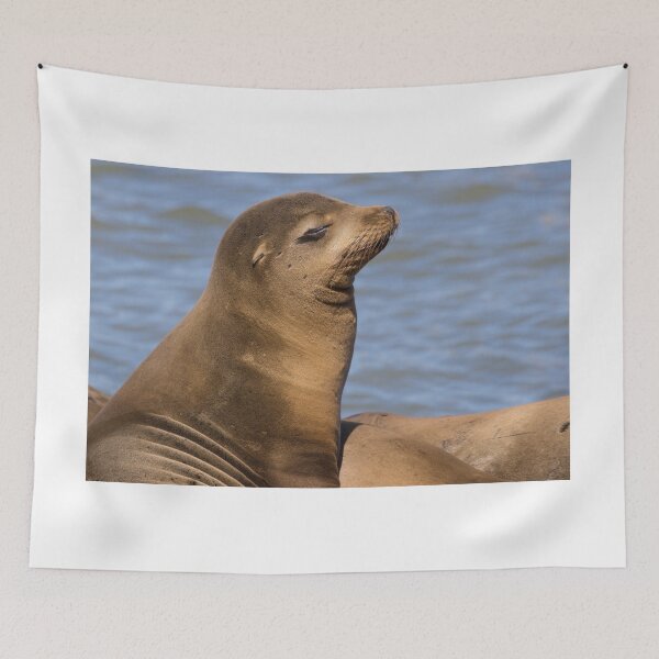 Item preview, California Sea Lion designed and sold by LaurenTucker.