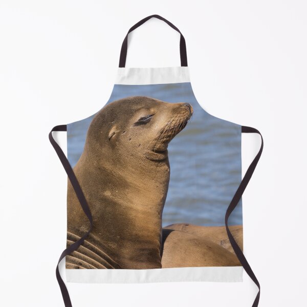 Item preview, California Sea Lion designed and sold by LaurenTucker.