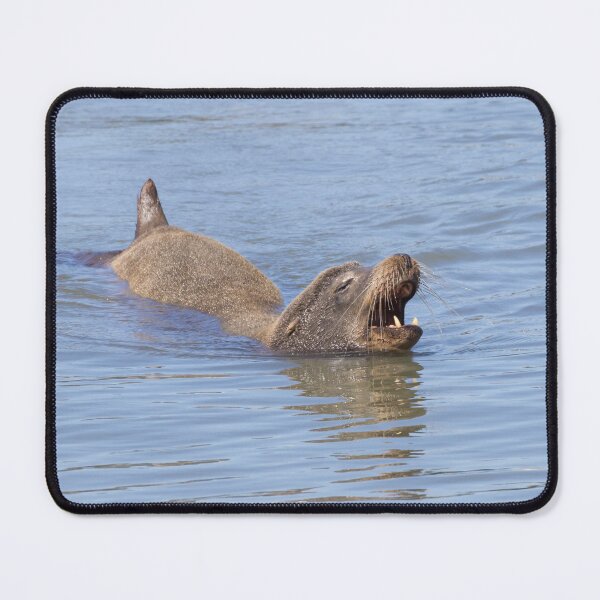 Item preview, California Sea Lion designed and sold by LaurenTucker.