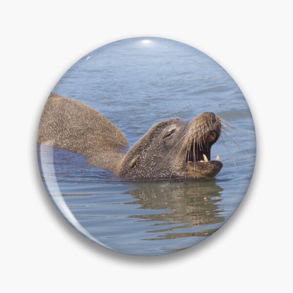 Item preview, California Sea Lion designed and sold by LaurenTucker.
