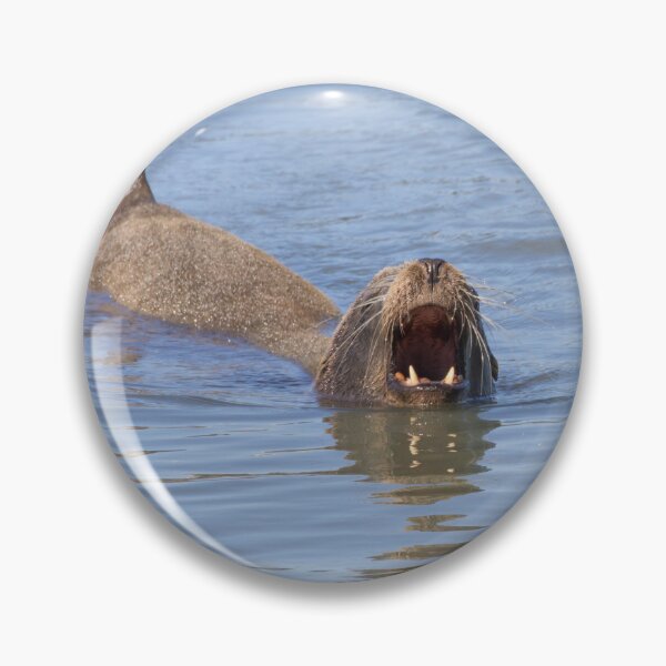 Item preview, California Sea Lion designed and sold by LaurenTucker.