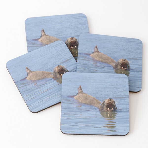 Item preview, California Sea Lion designed and sold by LaurenTucker.