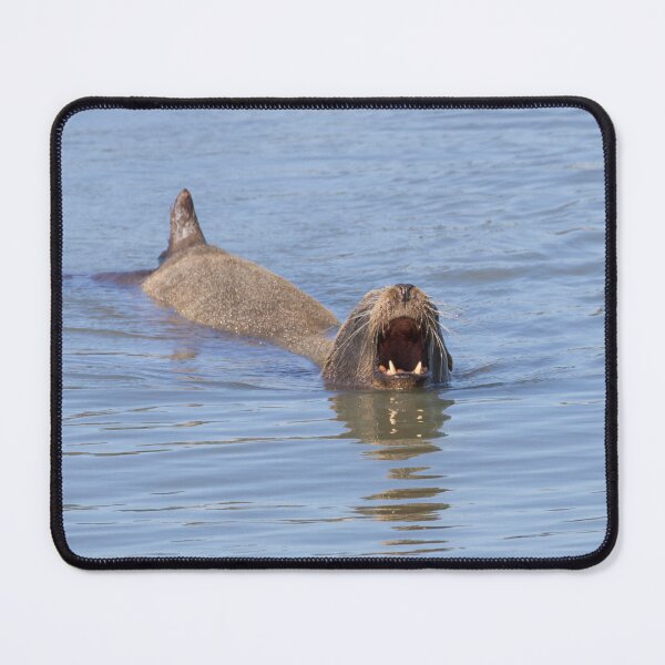 Item preview, California Sea Lion designed and sold by LaurenTucker.