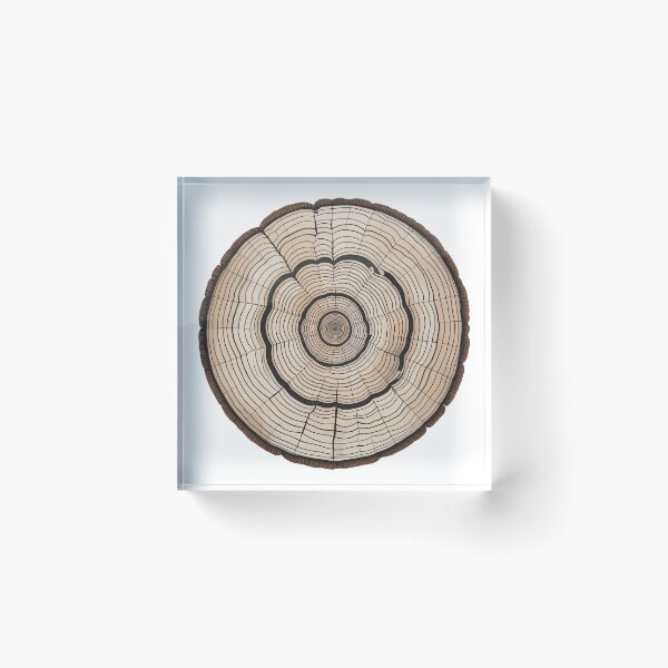 Item preview, Tree Rings Growth designed and sold by Angry Swan Designs.