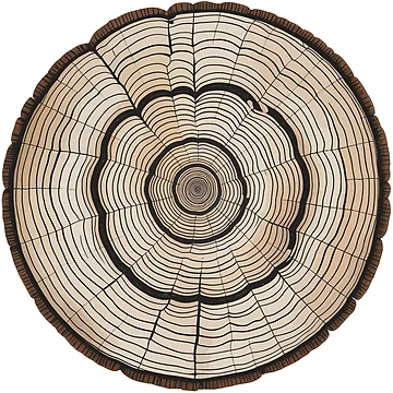 Artwork thumbnail, Tree Rings Growth by Angry Swan Designs