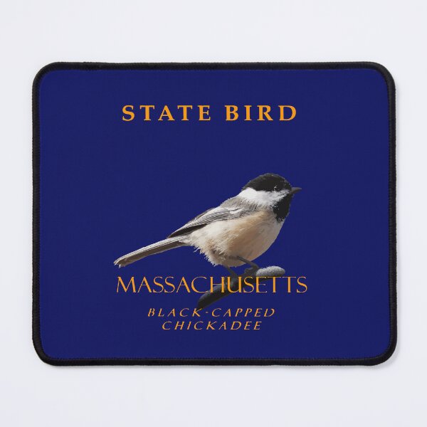 Item preview, Massachusetts Territory Bird The Black-Capped Chickadee designed and sold by taiche.