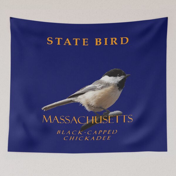 Item preview, Massachusetts Territory Bird The Black-Capped Chickadee designed and sold by taiche.
