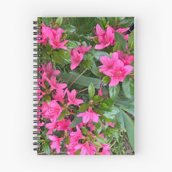Item preview, Azaleas rosas designed and sold by Amanda1775.