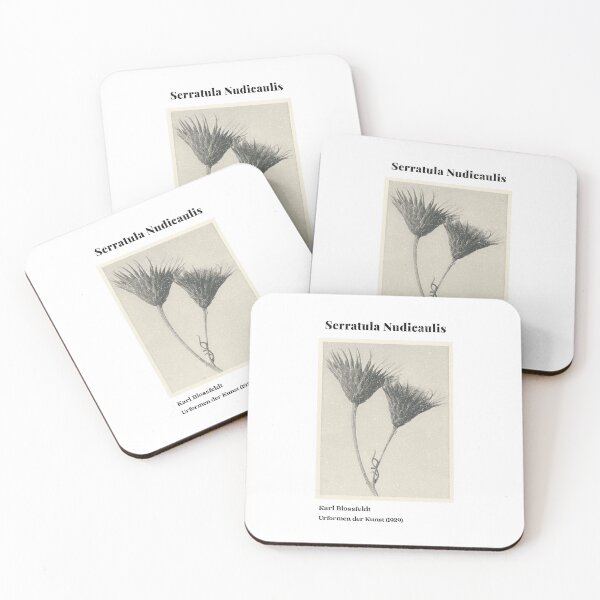 Item preview, Serratula Nudicaulis - nature photography designed and sold by salvaverde.