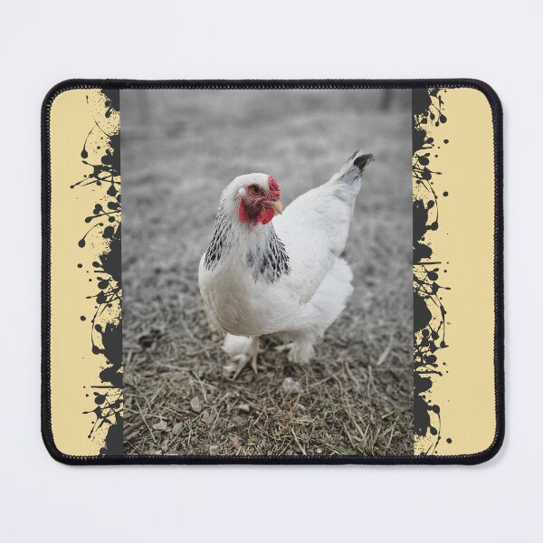 Item preview, LIGHT BRAHMA, Beautiful Girls! designed and sold by rockandahardplaceradio.