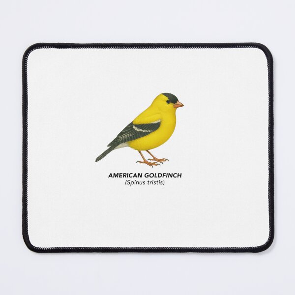Item preview, American Goldfinch – Limited California Birds Collection  designed and sold by CaliforniaVibe.