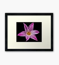 Untitled Framed Print