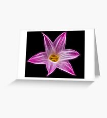 Untitled Greeting Card