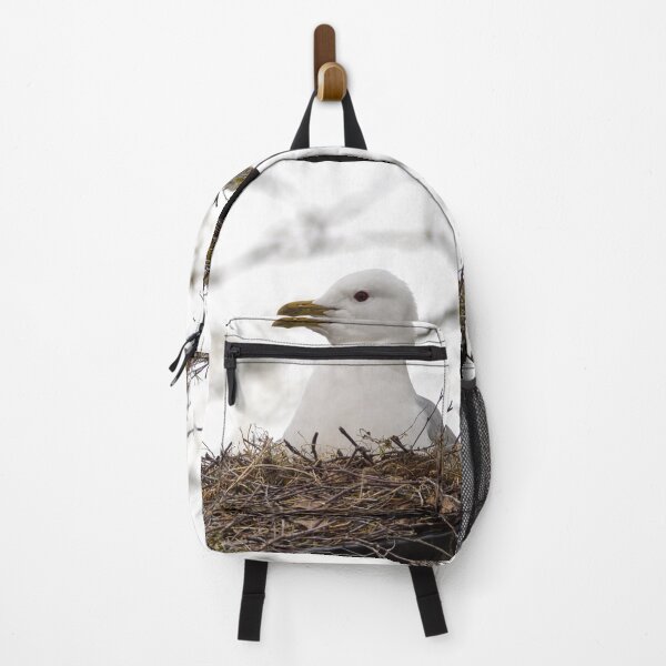 Item preview, Highly recommended. Common Gull designed and sold by Jouko Lehto Photography.