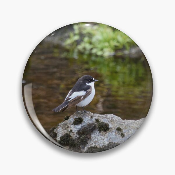 Item preview, European pied flycatcher by the river designed and sold by Jouko Lehto Photography.
