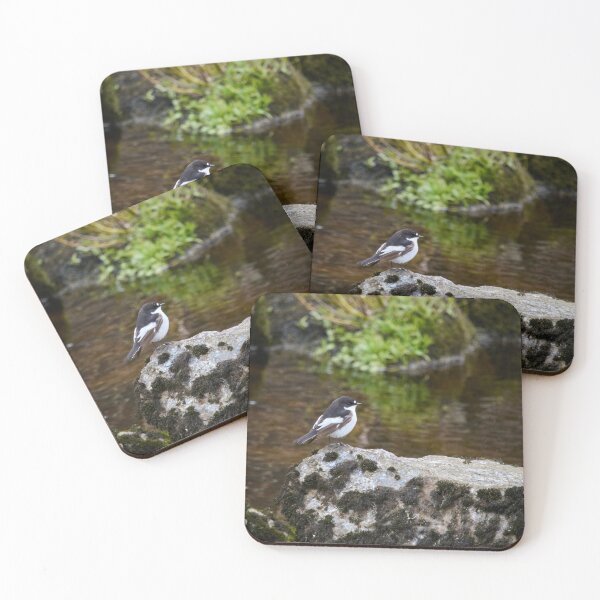 Item preview, European pied flycatcher by the river designed and sold by Jouko Lehto Photography.