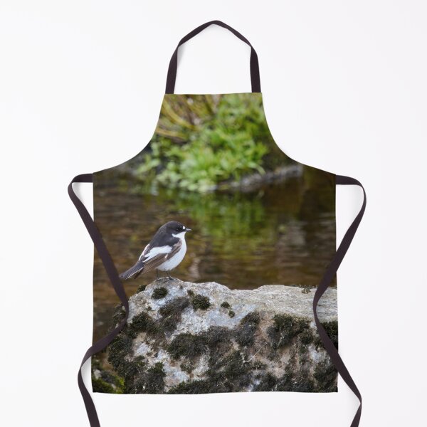Item preview, European pied flycatcher by the river designed and sold by Jouko Lehto Photography.