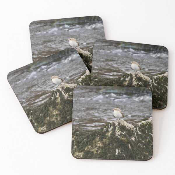 Item preview, Clifftop spotplace. European pied flycatcher designed and sold by Jouko Lehto Photography.