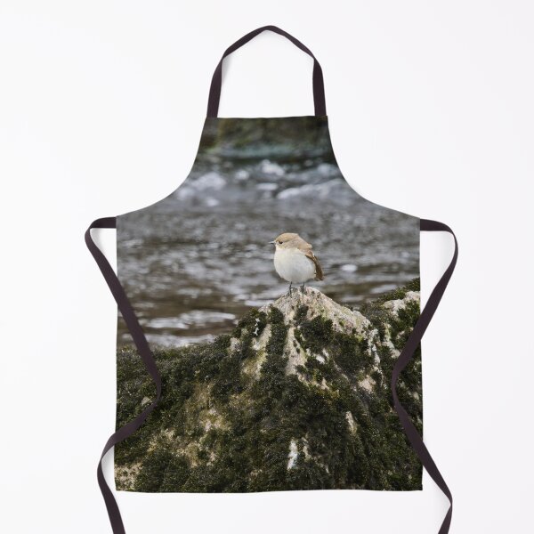 Item preview, Clifftop spotplace. European pied flycatcher designed and sold by Jouko Lehto Photography.