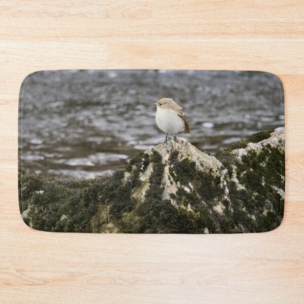 Item preview, Clifftop spotplace. European pied flycatcher designed and sold by Jouko Lehto Photography.