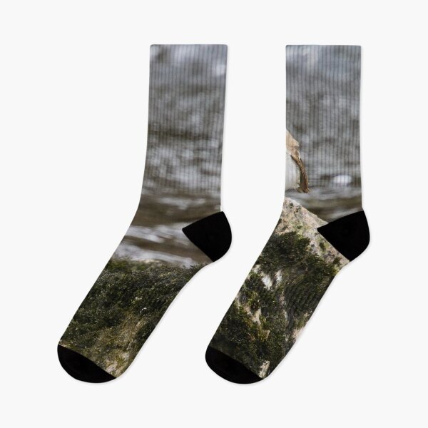 Item preview, Clifftop spotplace. European pied flycatcher designed and sold by Jouko Lehto Photography.
