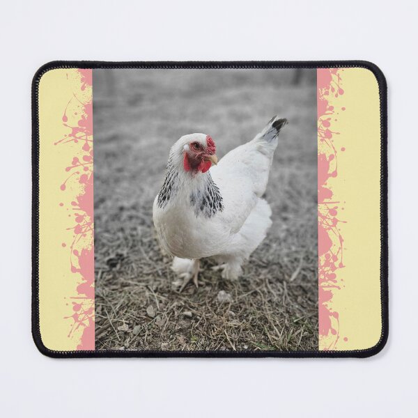 Item preview, LIGHT BRAHMA, Beautiful Girls! designed and sold by rockandahardplaceradio.