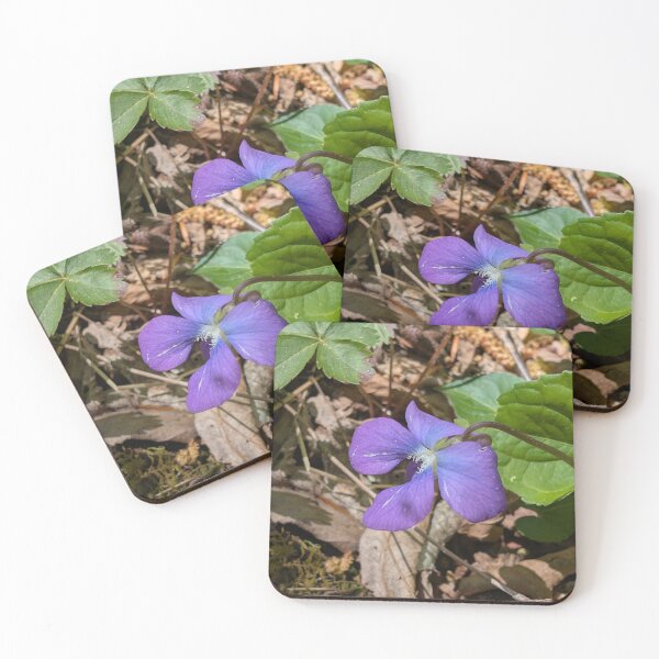 Item preview, Woodland Violet in Spring Light designed and sold by NoRagetsArt.