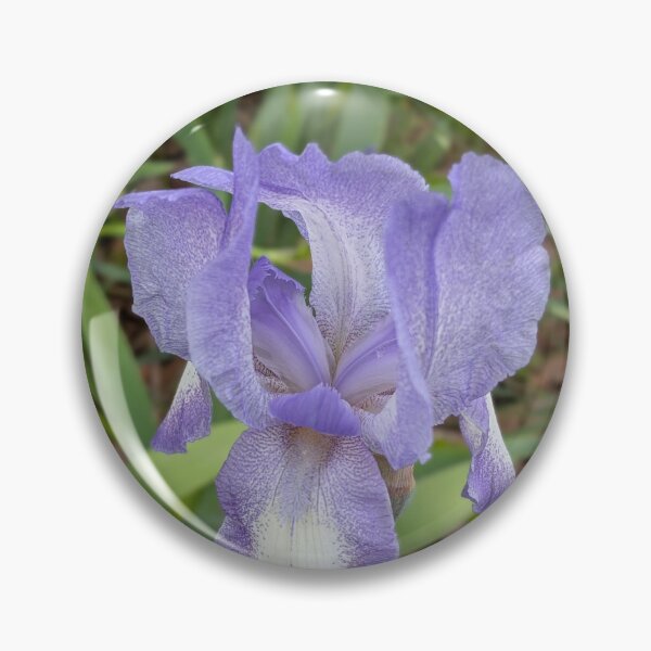 Item preview, Bearded Iris in Garden Bloom designed and sold by NoRagetsArt.