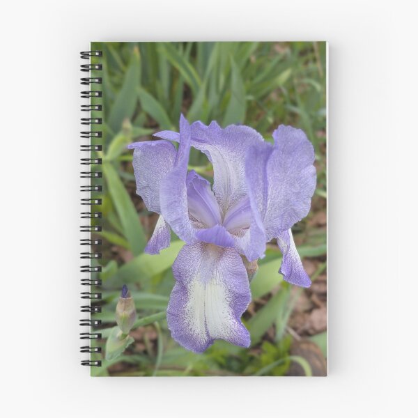 Item preview, Bearded Iris in Garden Bloom designed and sold by NoRagetsArt.