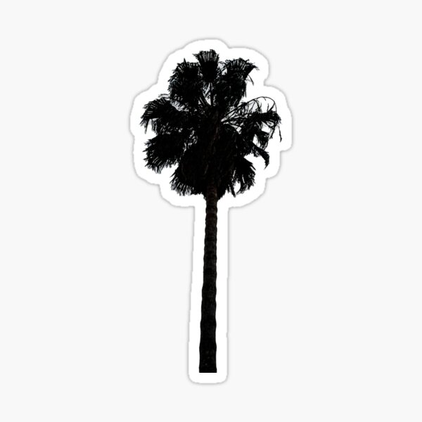Item preview, one palm tree on isolated background designed and sold by SeckinArt.