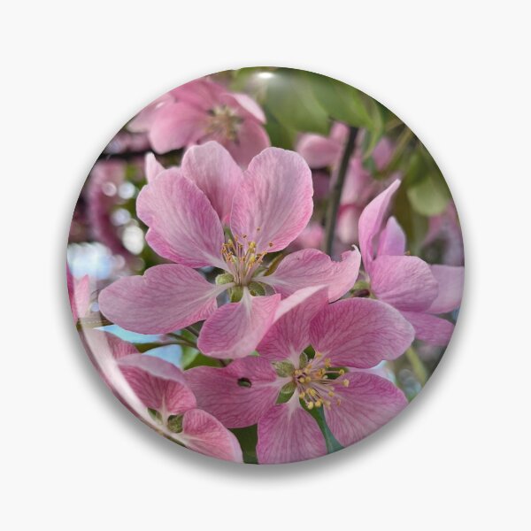 Item preview, A Symphony of Soft Pinks designed and sold by Lana Magnolia.
