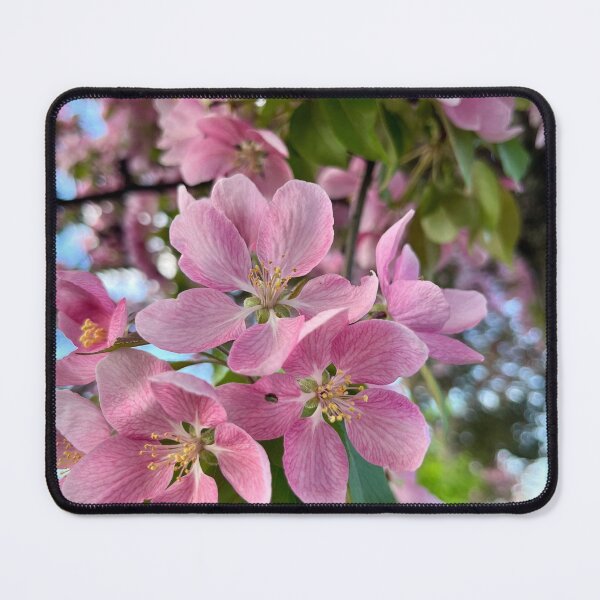 Item preview, A Symphony of Soft Pinks designed and sold by Lana Magnolia.
