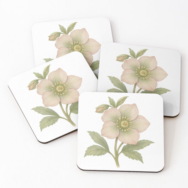 Item preview,  A watercolor illustration of Hellebore designed and sold by GentleMuse.
