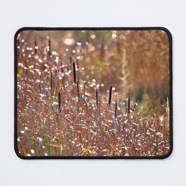 Item preview, Cattails designed and sold by CarolM.