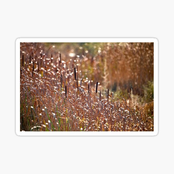 Item preview, Cattails  designed and sold by CarolM.
