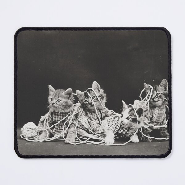 Item preview, Cats Playing with String - Vintage Photograph designed and sold by RainyDayTees.