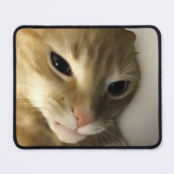 Item preview, Biting ginger cat meme designed and sold by PoppyMatildas.