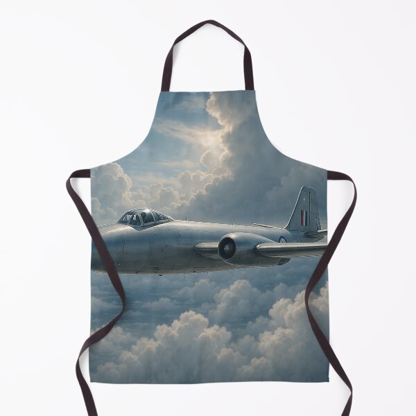 Item preview, English Electric Canberra designed and sold by Skyframe Aviation.