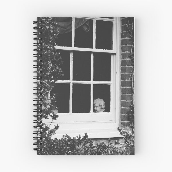 Item preview, Sculpture in the Window designed and sold by SEL.Photography.