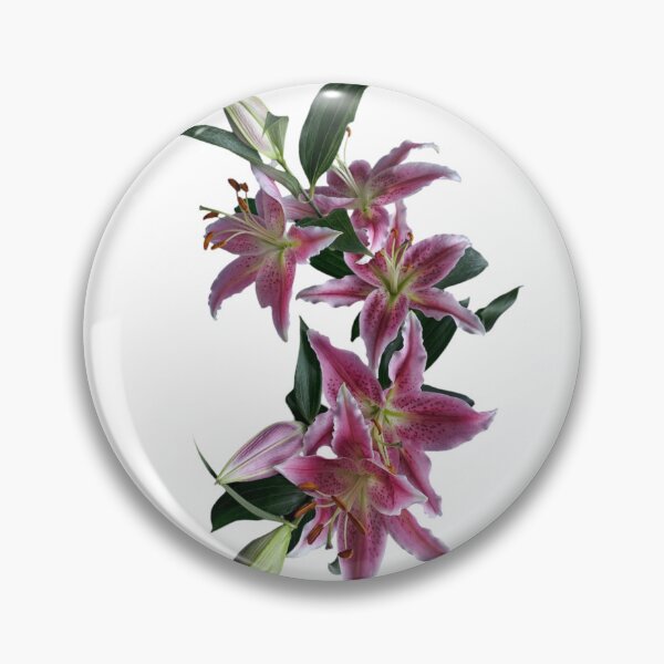 Artikelvorschau, Stargazer-Lilien entworfen und verkauft von TSGDesign.