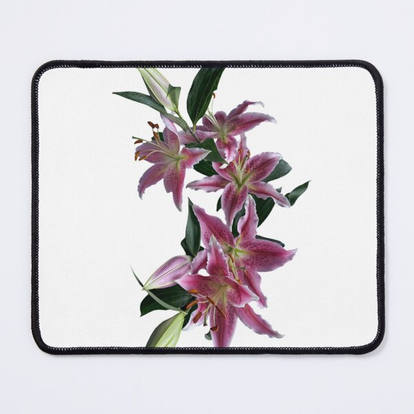 Item preview, Stargazer Lilies designed and sold by TSGDesign.