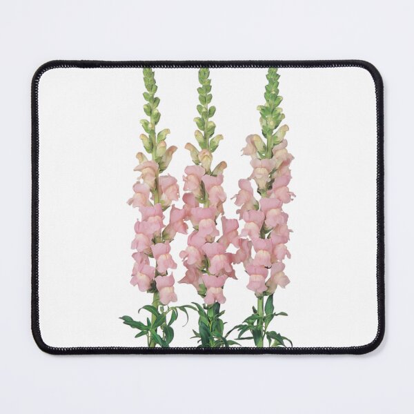 Item preview, Snapdragons designed and sold by TSGDesign.