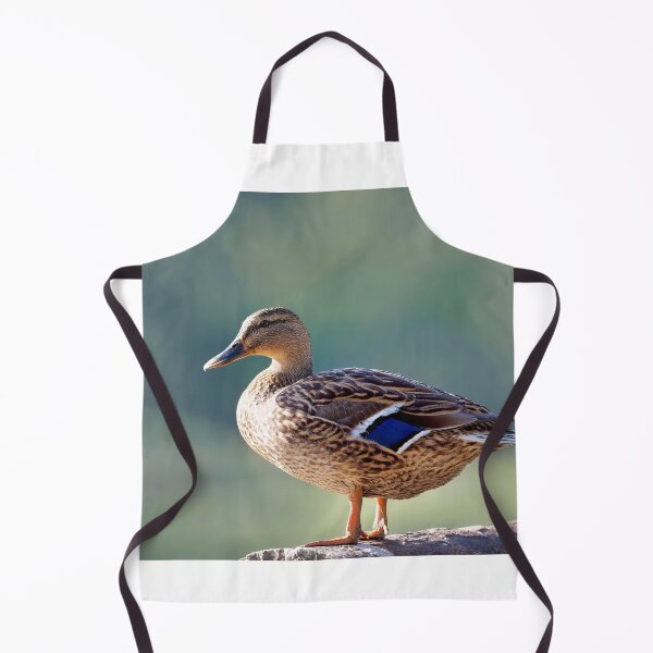 Item preview, Female Mallard  Anas-platyrhynchos designed and sold by Dorset Girl.